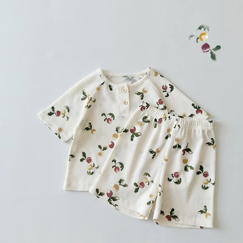 סט פיגמה דגם