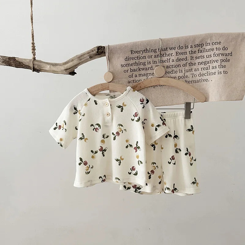 סט פיגמה דגם