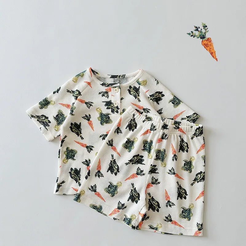 סט פיגמה דגם